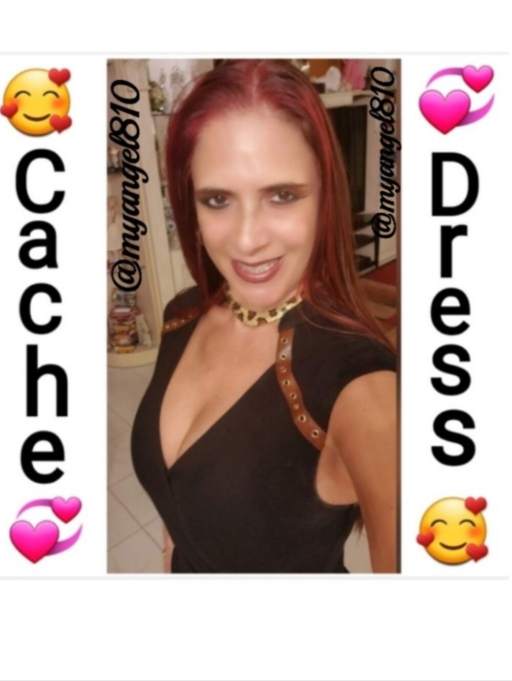 Cache Elegant Black Dress with Brown Leather/Gold Accents, Size 4